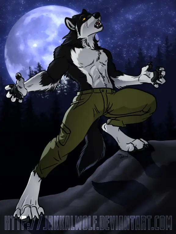 Seni Werewolf Anime yang Menawan Gambar seni karakter werewolf anime