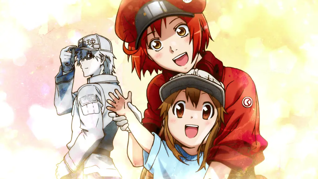10 Rekomendasi Anime Edukatif yang Menarik Ditonton