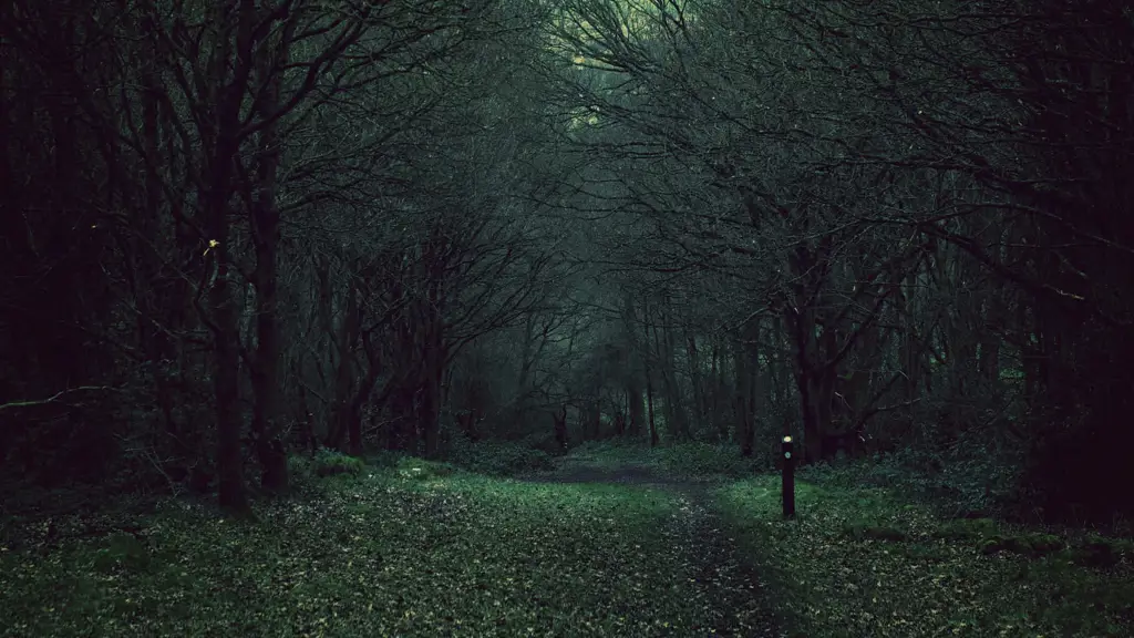 Suasana misterius dalam anime Hutan misterius dalam anime