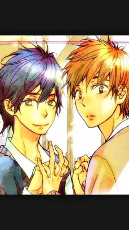 Pasangan anime yaoi yang menarik dari tahun 2016 Pasangan anime yaoi dari tahun 2016