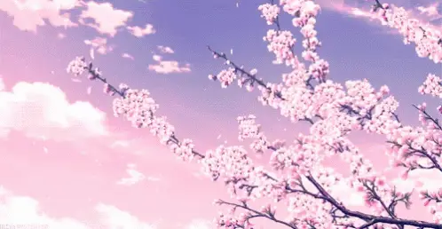 Animasi Sakura: Keindahan Visual yang Menawan Animasi bunga sakura khas Jepang