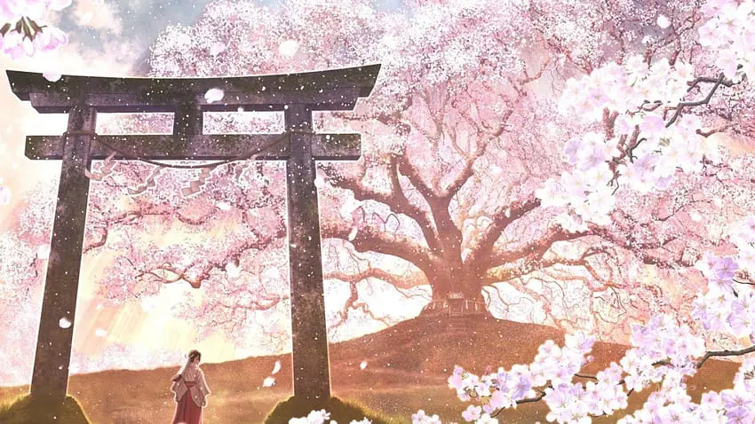 Mencari Anime di Sakuranime Gambar antarmuka situs Sakuranime